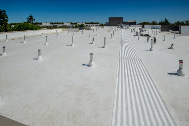 Best Roof Leak Repair  in Air Force Academy, CO